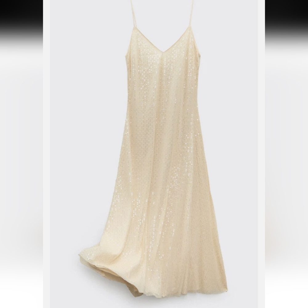 Zara Women's Beaded Sheer Sequins Maxi Dress Beige Size L - Picture 13 of 16